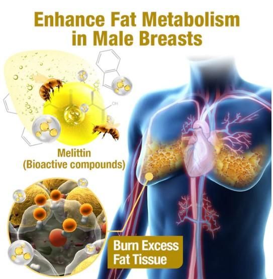 Bee venom Gynecomastia Oil